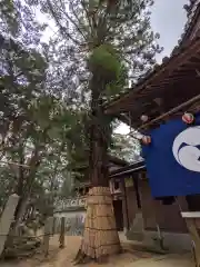 氷上八幡神社(香川県)