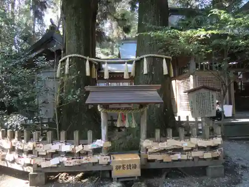 天岩戸神社(宮崎県)