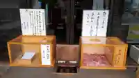 札幌村神社のおみくじ