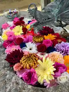 彌都加伎神社の手水舎(2021年10月12日(火) 12時47分07秒投稿)