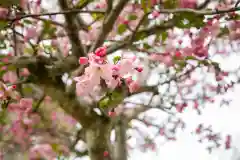 金剛寺(神奈川県)