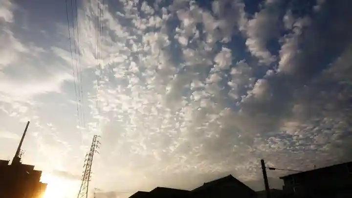 神明社(国府宮神明社)の自然