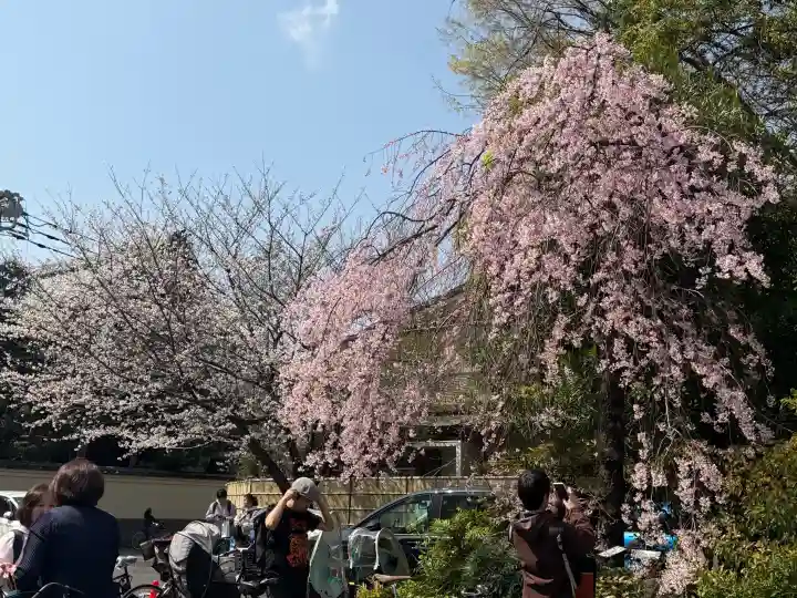 阿佐ヶ谷神明宮の{uncategorized: "未分類", other: "その他", undefined: "問題あり", building: "その他建物", grave: "お墓", sacred_gate: "鳥居", guardian: "狛犬", statue: "像", buddha: "仏像", history: "歴史", nature: "自然", garden: "庭園", animal: "動物", pagoda: "塔", temizu: "手水舎", mountain_gate: "山門・神門", sanctuary: "本殿・本堂", subordinate: "末社・摂社", art: "芸術", scenery: "景色", jizo: "地蔵", ema: "絵馬", goshuin: "御朱印", omikuji: "おみくじ", items: "授与品その他", amulet: "お守り", goshuincho: "御朱印帳", eats: "食事", festival: "お祭り", votive_dance: "神楽", shichigosan: "七五三参", wedding: "結婚式", experience: "体験その他", initially: "初詣", around: "周辺", anti_infection: "感染症対策"}