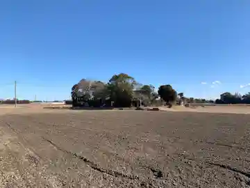 八幡神社(千葉県)