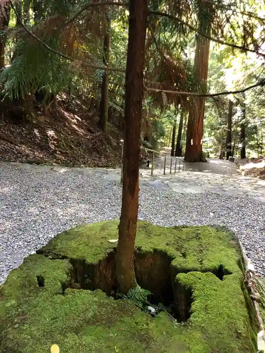 元伊勢内宮 皇大神社の自然