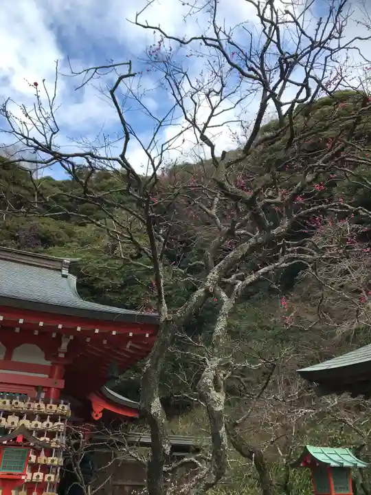 荏柄天神社(神奈川県)