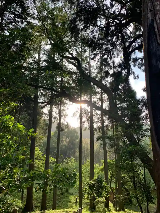 日月神社の自然