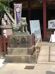 浅草神社の狛犬