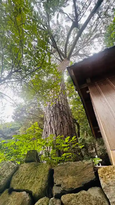常神社(福井県)