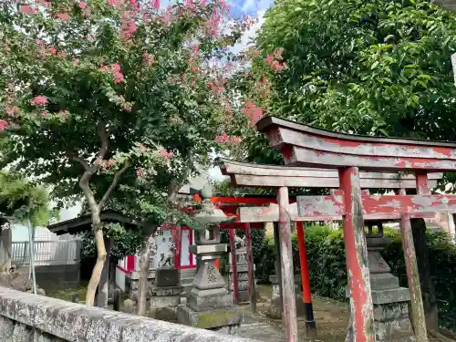 十幹森稲荷神社(東京都)