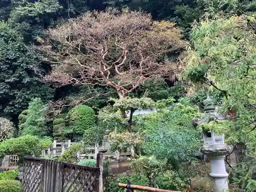 長生院(神奈川県)