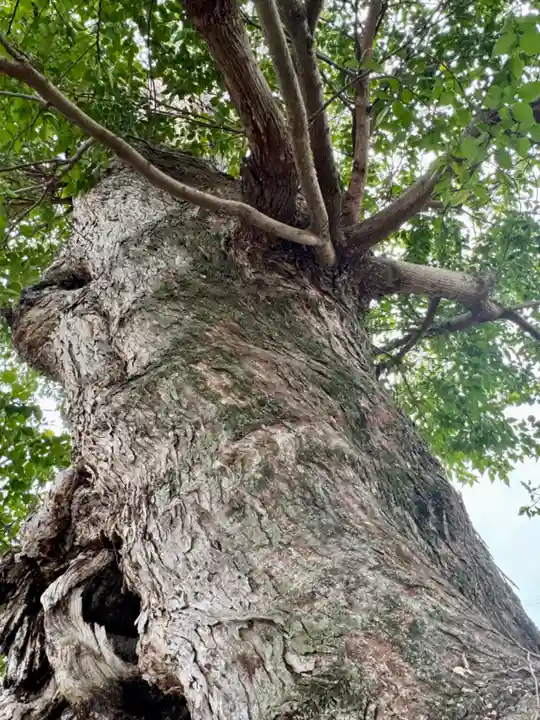 蔵林寺(京都府)