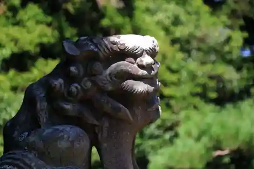 三春大神宮の狛犬