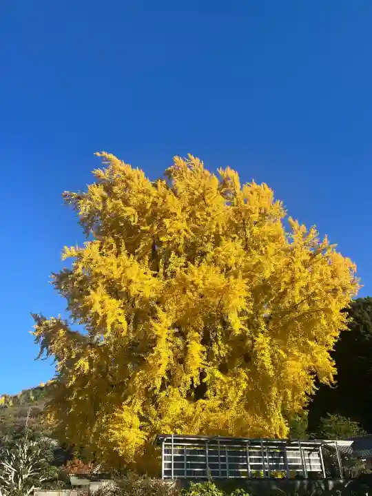 丹生酒殿神社(和歌山県)