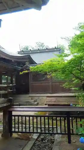 出石神社の本殿