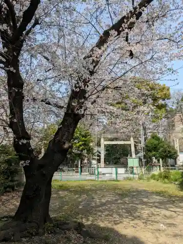 日置神社の{uncategorized: "未分類", other: "その他", undefined: "問題あり", building: "その他建物", grave: "お墓", sacred_gate: "鳥居", guardian: "狛犬", statue: "像", buddha: "仏像", history: "歴史", nature: "自然", garden: "庭園", animal: "動物", pagoda: "塔", temizu: "手水舎", mountain_gate: "山門・神門", sanctuary: "本殿・本堂", subordinate: "末社・摂社", art: "芸術", scenery: "景色", jizo: "地蔵", ema: "絵馬", goshuin: "御朱印", omikuji: "おみくじ", items: "授与品その他", amulet: "お守り", goshuincho: "御朱印帳", eats: "食事", festival: "お祭り", votive_dance: "神楽", shichigosan: "七五三参", wedding: "結婚式", experience: "体験その他", initially: "初詣", around: "周辺", anti_infection: "感染症対策"}