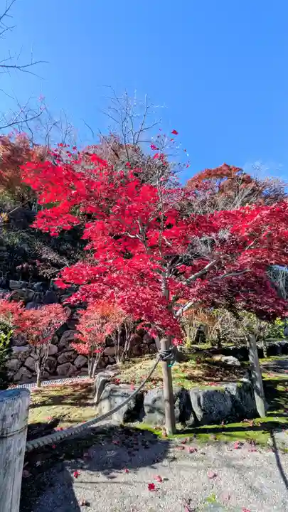長谷寺(奈良県)
