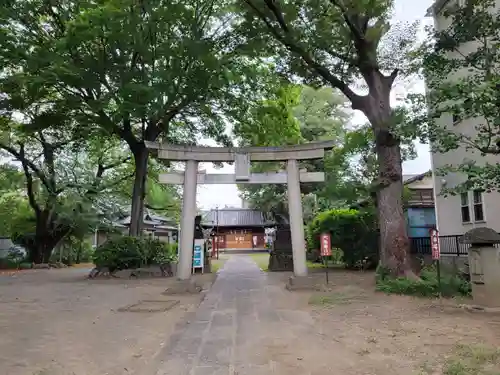 上戸田氷川神社の鳥居