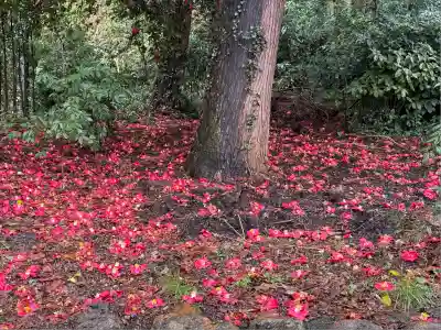 高麗神社(埼玉県)
