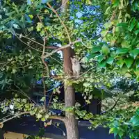 三津厳島神社のその他建物