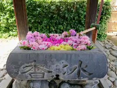 於菊稲荷神社の手水舎