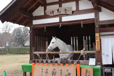 賀茂別雷神社（上賀茂神社）(京都府)