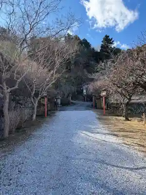 浄心寺の{uncategorized: "未分類", other: "その他", undefined: "問題あり", building: "その他建物", grave: "お墓", sacred_gate: "鳥居", guardian: "狛犬", statue: "像", buddha: "仏像", history: "歴史", nature: "自然", garden: "庭園", animal: "動物", pagoda: "塔", temizu: "手水舎", mountain_gate: "山門・神門", sanctuary: "本殿・本堂", subordinate: "末社・摂社", art: "芸術", scenery: "景色", jizo: "地蔵", ema: "絵馬", goshuin: "御朱印", omikuji: "おみくじ", items: "授与品その他", amulet: "お守り", goshuincho: "御朱印帳", eats: "食事", festival: "お祭り", votive_dance: "神楽", shichigosan: "七五三参", wedding: "結婚式", experience: "体験その他", initially: "初詣", around: "周辺", anti_infection: "感染症対策"}