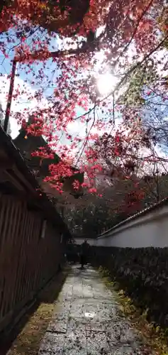 鍬山神社のその他建物