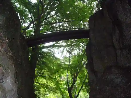 行道山 浄因寺の建物その他