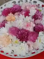 一乗寺(東京都)