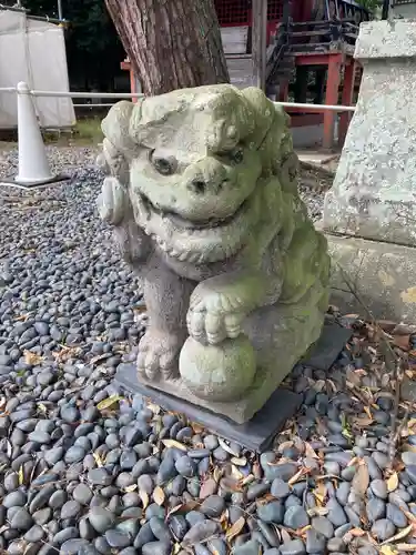 津島神社の狛犬