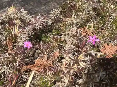 国宝 大法寺(長野県)