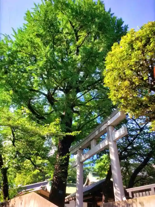 熊野神社(東京都)
