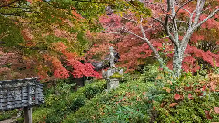 善峯寺(京都府)