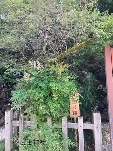 武田神社(山梨県)