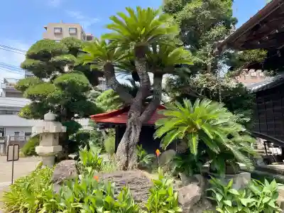 吉祥寺(千葉県)