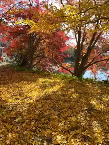 出雲大神宮(京都府)