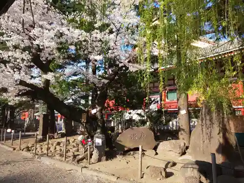 浅草神社のその他建物
