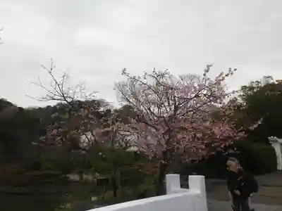 鶴岡八幡宮の周辺