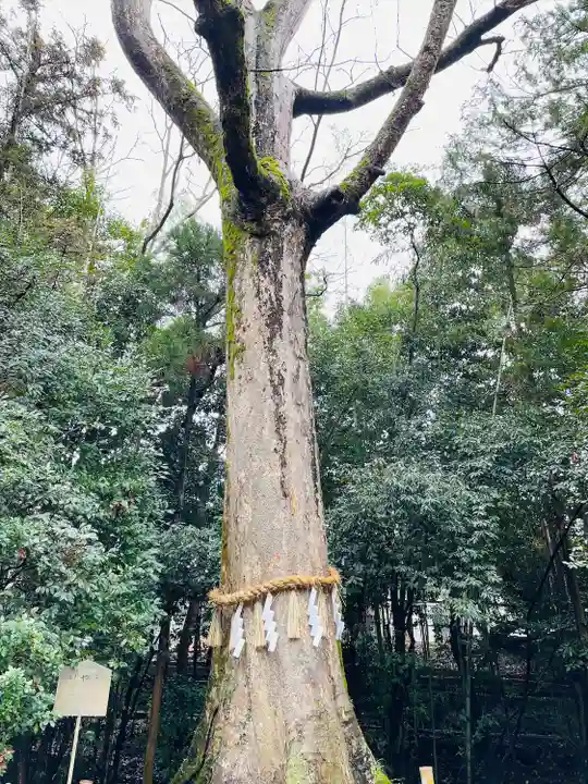 宇治上神社(京都府)