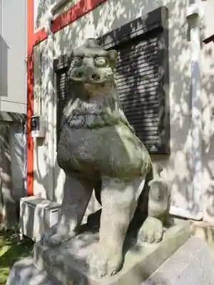 吉原神社の狛犬