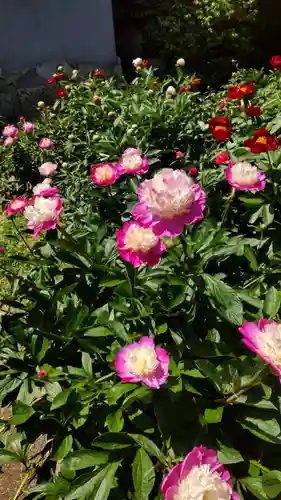 石光寺(奈良県)