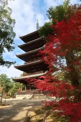 仁和寺の塔