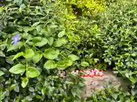 勝尾寺(大阪府)