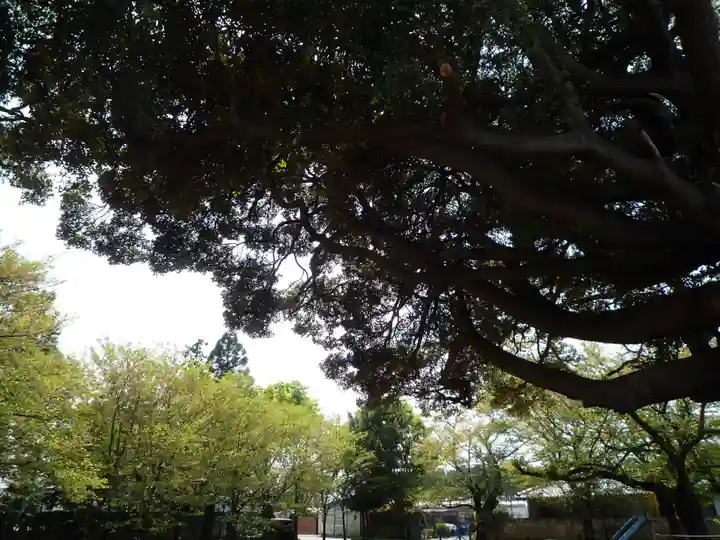 白山神社の自然