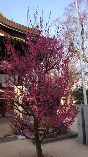 諏訪神社の自然