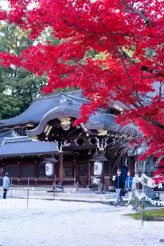 今宮神社の本殿・本堂