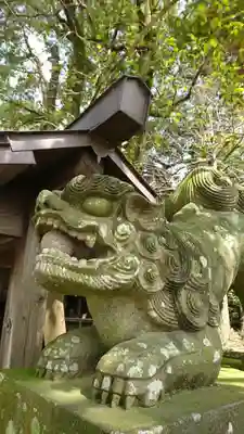大宮神社の狛犬