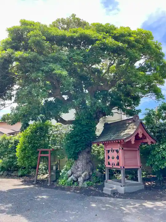 本興寺(神奈川県)