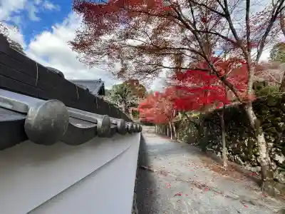 神峯山寺(大阪府)